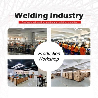 Single phase AC220V TIG300GAS IGBT TIG Welding Machine Inverter Welding Argon Tig Welder For Soldering Working